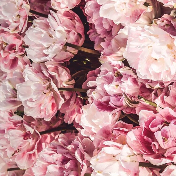 Meet your Posher, Kate - Picture 1 of 1